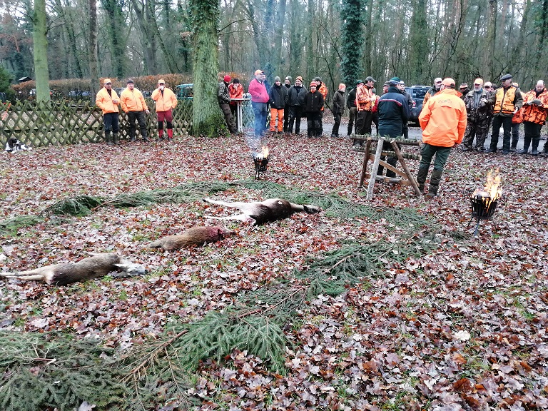 Jagdgäste bei der Streckenlegung im Wald